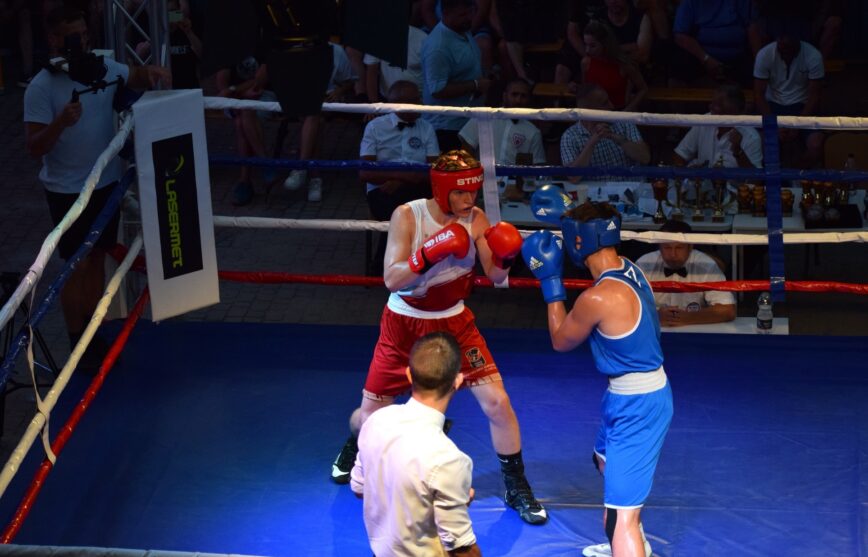 Bitwa O Dziedziniec 2 w Mielcu